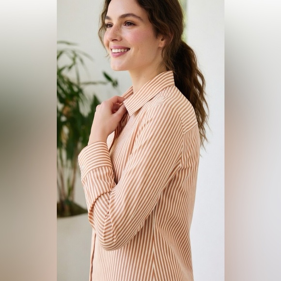 Loro Piana Rust and Cream Striped Button-Down Shirt - Picture 12 of 12